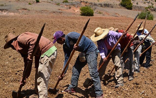 La Plataforma de Cambio Climático, Riesgo y Resiliencia destaca el caso Geoparque mundial de la UNESCO, Mixteca Alta, en México, en donde se desarrolla un método de terrazas agrícolas puesto en marcha hace más de 3500 años, que permite maximizar los resultados de los cultivos expuestos a resistir la variabilidad climática.