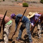 El conocimiento ancestral como recurso al Cambio Climático