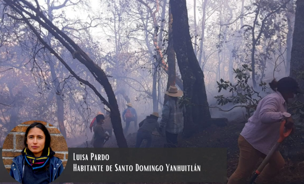 Experiencias y retos de un incendio forestal. Febrero 2021
