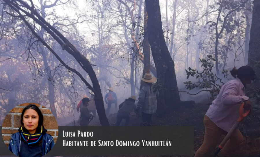Experiencias y retos de un incendio forestal - Luisa Pardo, habitante de Santo Domingo Yanhuitlán.